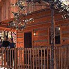 camping gatlinburg formerly bound resorts rv crazy resort adventure horse julieb added
