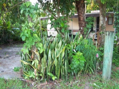 Sunsport Gardens Family Nudist Resort